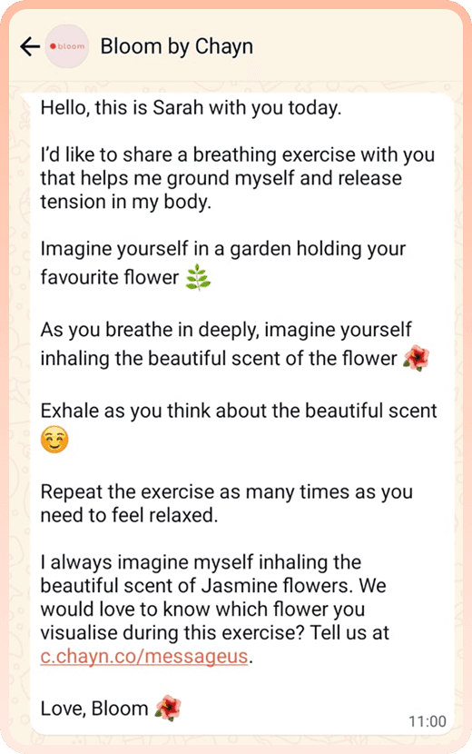 Example of Notes from Bloom WhatsApp messages